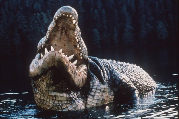 Tierhorror im Lake Placid Franchise